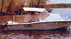 Bubbles on Lake Mendota